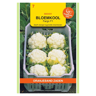 Oranjeband Bloemkool Fargo F1