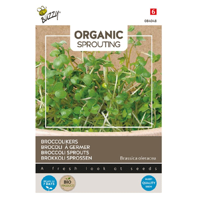 Buzzy® Organic Sprouting Broccolikers
