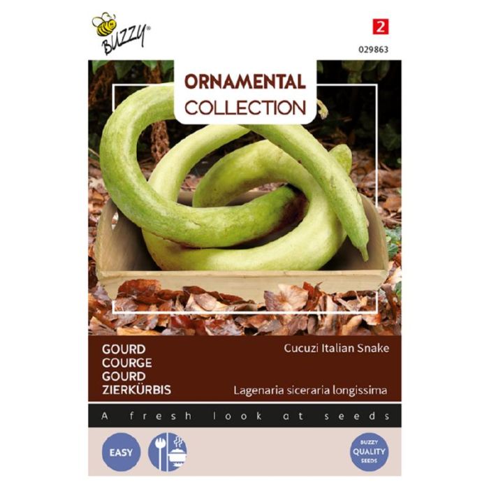 Buzzy Ornamental Gourd Cucuzi Italian Snake