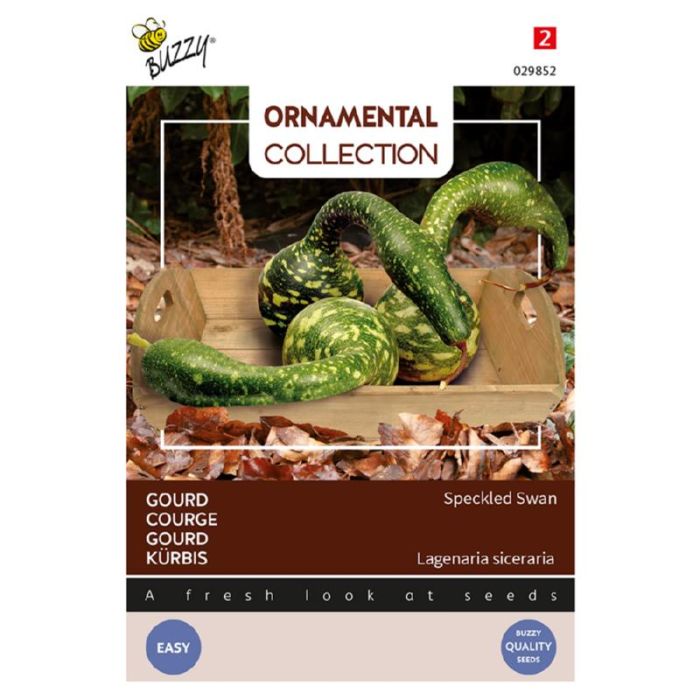 Buzzy Ornamental Gourd Speckled Swan (Lagenaria siceraria)