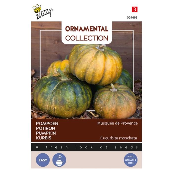 Buzzy Ornamental Pompoen Musque De Provence