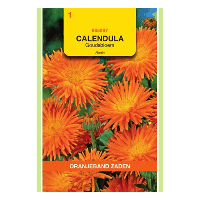 Oranjeband zaden Calendula, Goudsbloem Radio