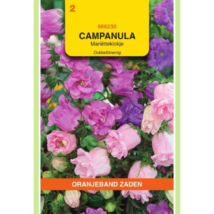 OBZ Campanula, Mariëtteklokje dubbelbloemig gemengd