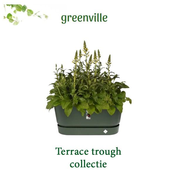 Elho Terrace trough collectie