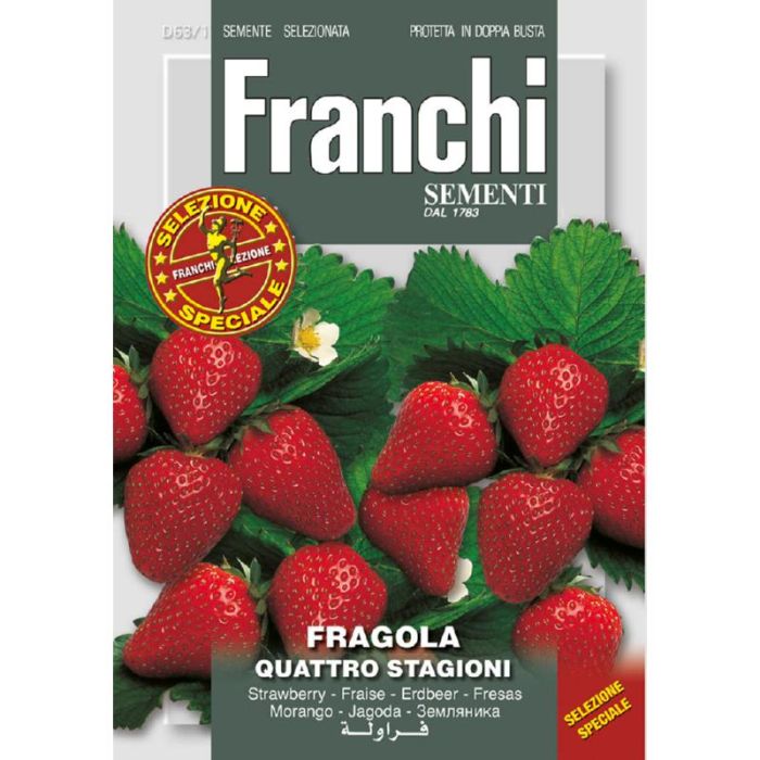 Franchi Fragola Quattro stagioni 63/1
