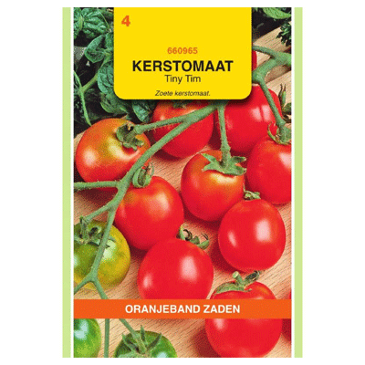 Oranjeband Kerstomaat Tiny Tim Kers- Balkontomaten