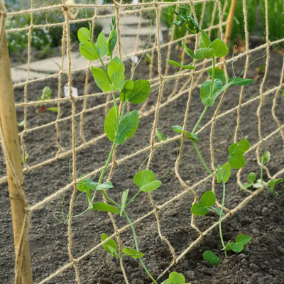 Nature Klimnet voor planten 1,8x5 m naturel jute impressie