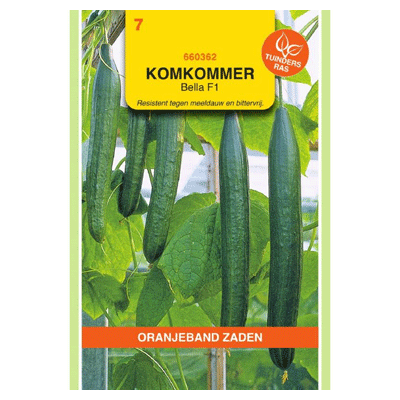 Oranjeband zaden Komkommer Bella F1