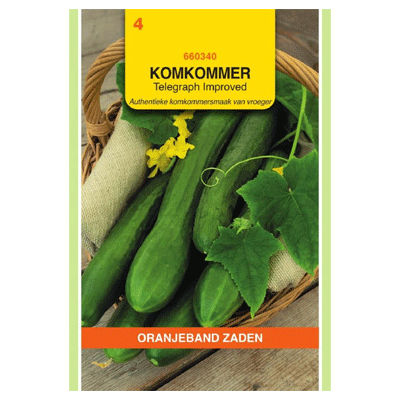 Oranjeband zaden Komkommer Telegraph Improved