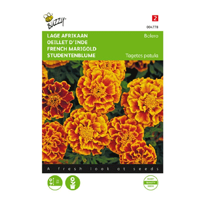 Buzzy® Tagetes, lage Afrikaan Bolero