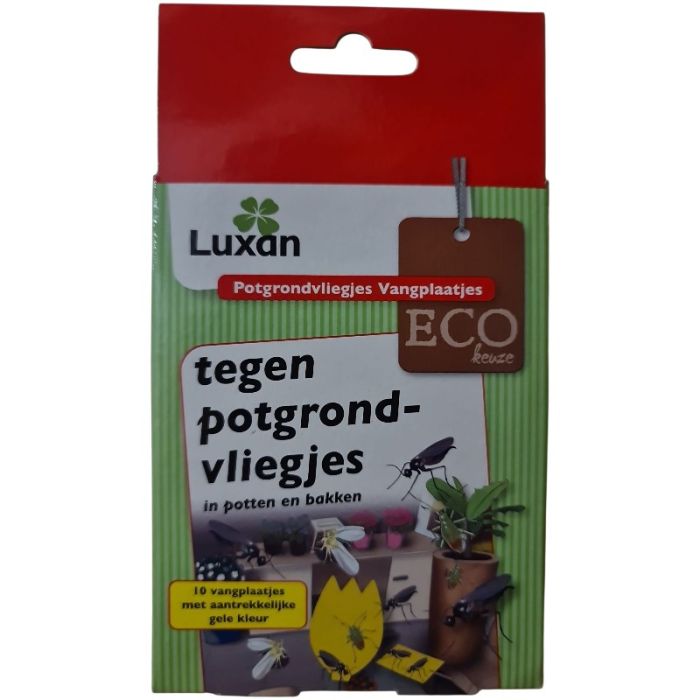 Luxan Potgrondvliegjes Vangplaatjes - 10 stuks