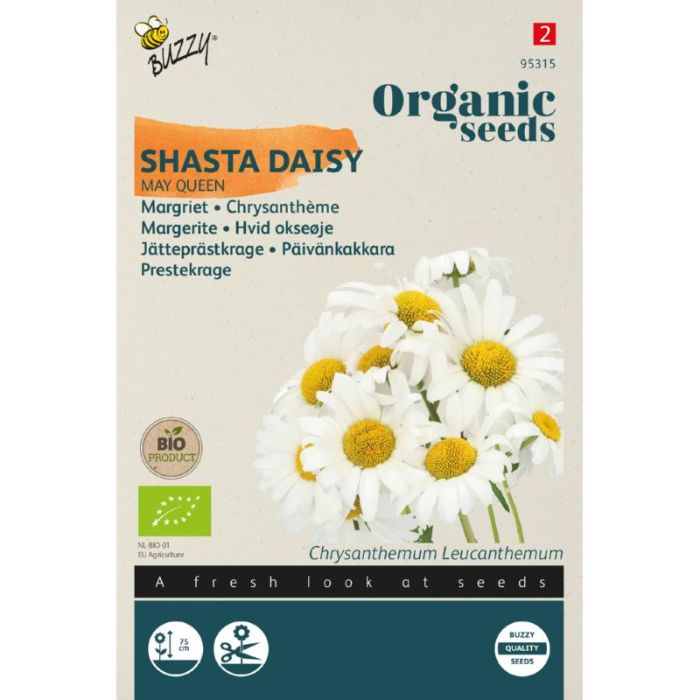 Buzzy® Organic Chrysanthemum, Margriet May Queen (BIO)