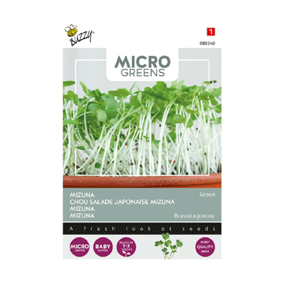 Buzzy microgreens Mizuna 