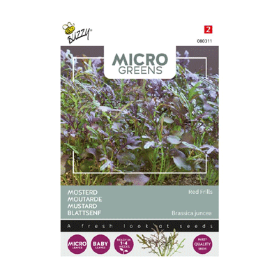 Buzzy Microgreens Mosterd Red Frills