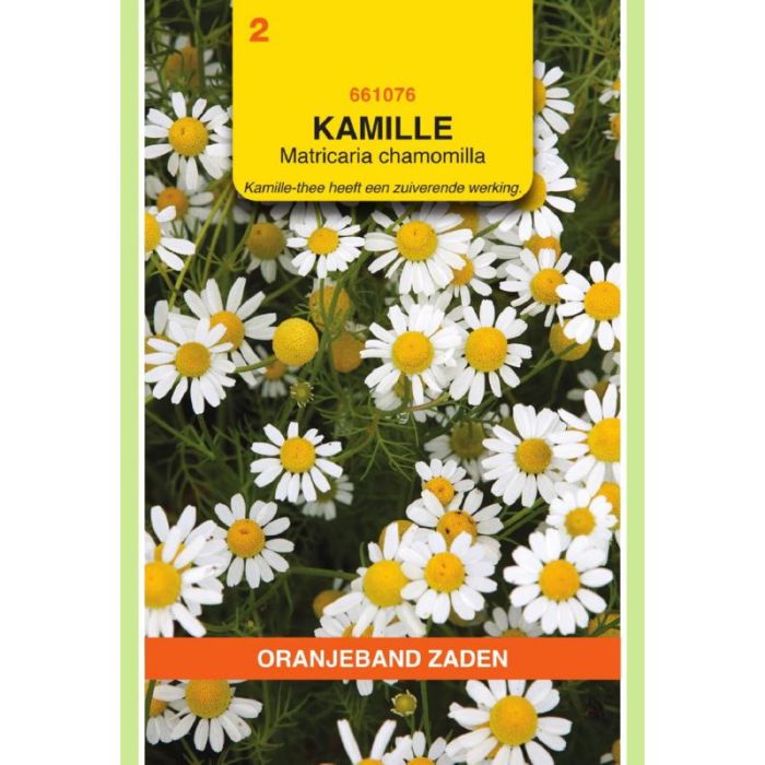 Oranjeband Kamille