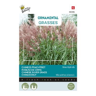Buzzy® Ornamental Grasses Chinees prachtriet 'New Hybrids'
