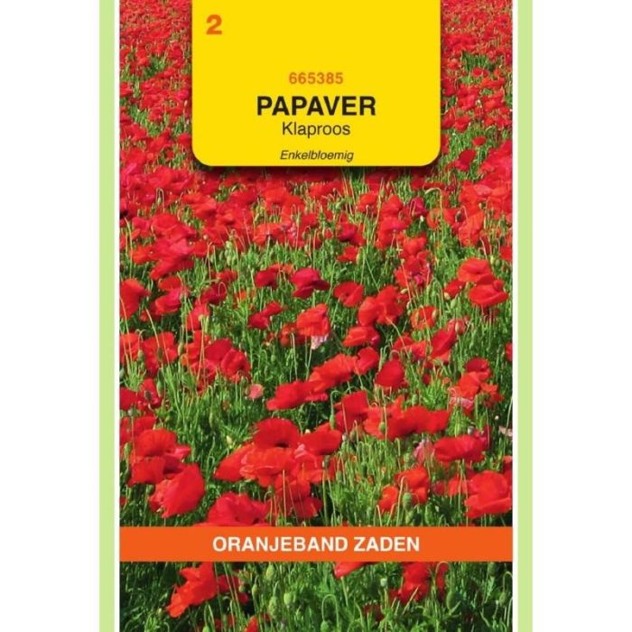 Oranjeband Papaver, Klaproos enkelbloemig (gewone)