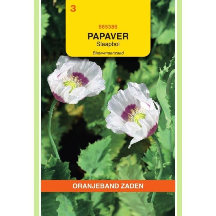 Oranjeband Papaver, Slaapbol Blauwmaanzaad