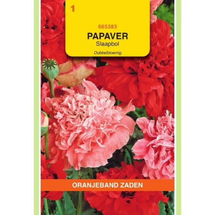 Oranjeband Papaver, Slaapbol dubbelbloemig gemengd