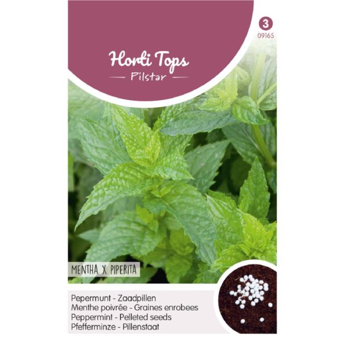 Horti tops Pilstar Pepermunt - Mentha x Piperita
