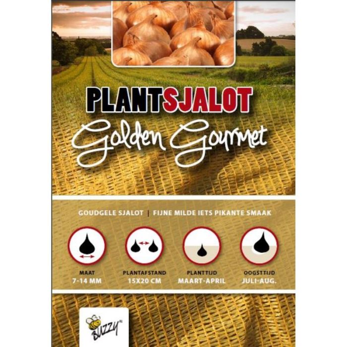 Plantsjalotten Golden Gourmet 500g
