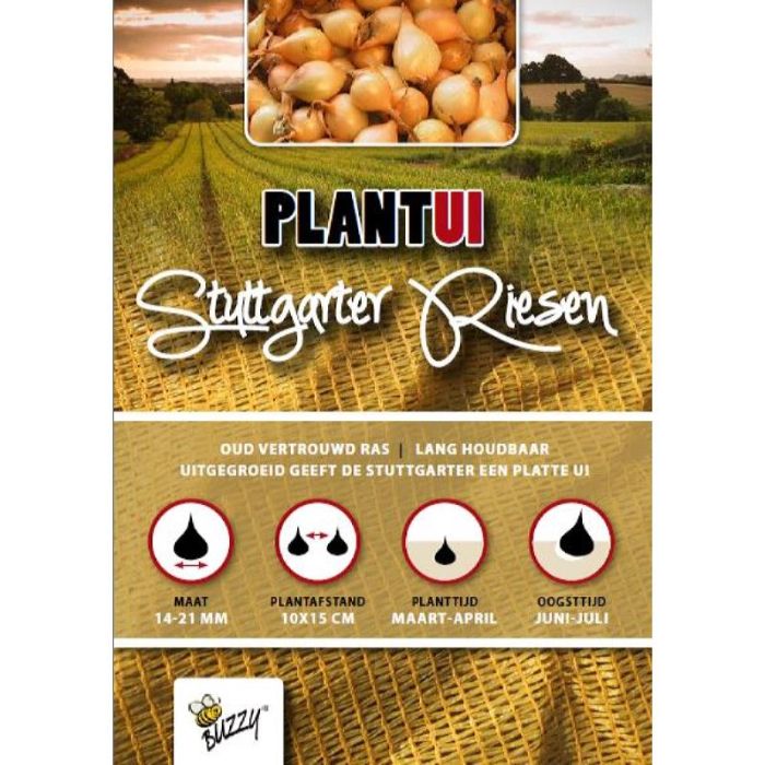 Plantuien Stuttgarter Riesen 250 gram