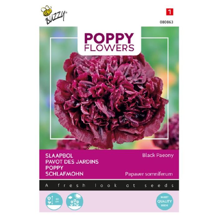 Buzzy® Poppy Flowers, Papaver Black Paeony