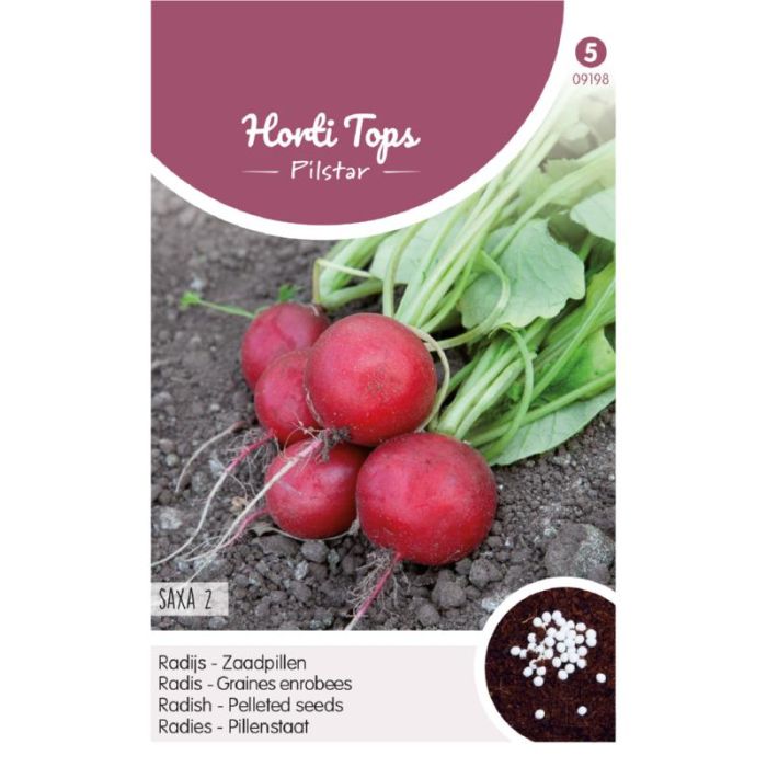 Horti Tops Pilstar Radijs Saxa 2 