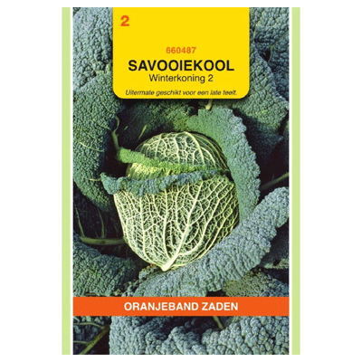 Oranjeband zaden Savooiekool Winterkoning 2