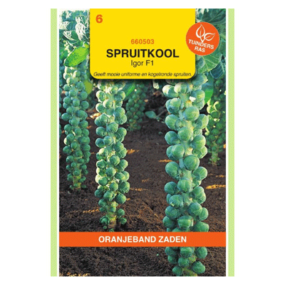Oranjeband zaden spruitkool Igor F1