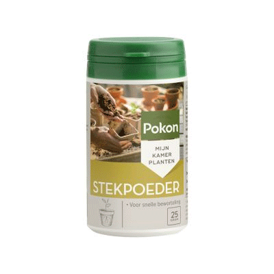 Pokon stekpoeder 25 gram