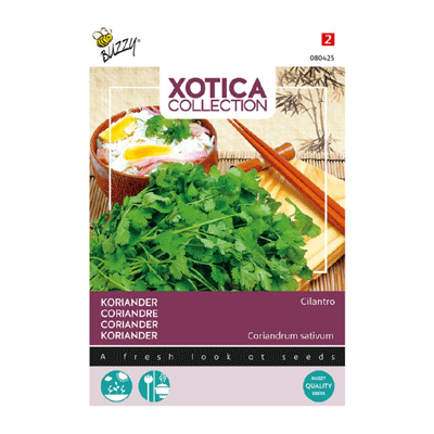Buzzy® Xotica Koriander Cilantro