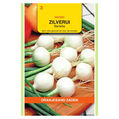 Oranjeband Zilverui Barletta