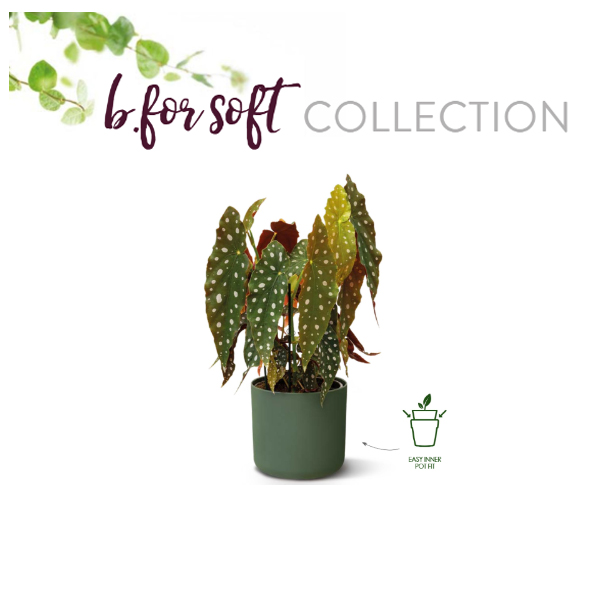 Elho B.for soft collectie