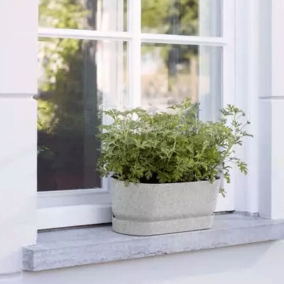 elho greenville trough long 50 living concrete